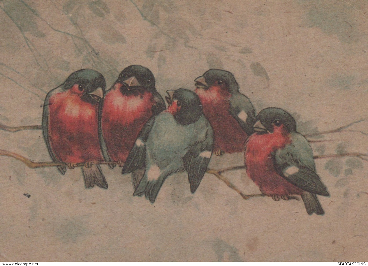 VOGEL Tier Vintage Ansichtskarte Postkarte CPSM #PAM749.DE - Vögel