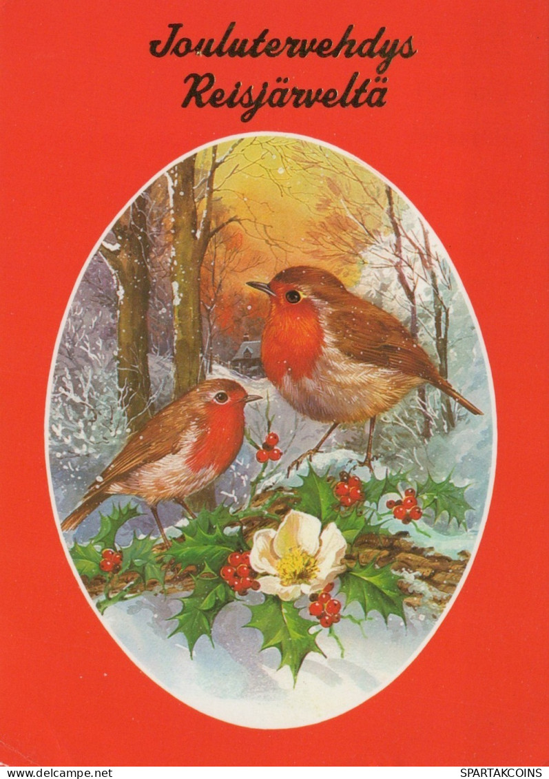 VOGEL Tier Vintage Ansichtskarte Postkarte CPSM #PAM935.DE - Vögel