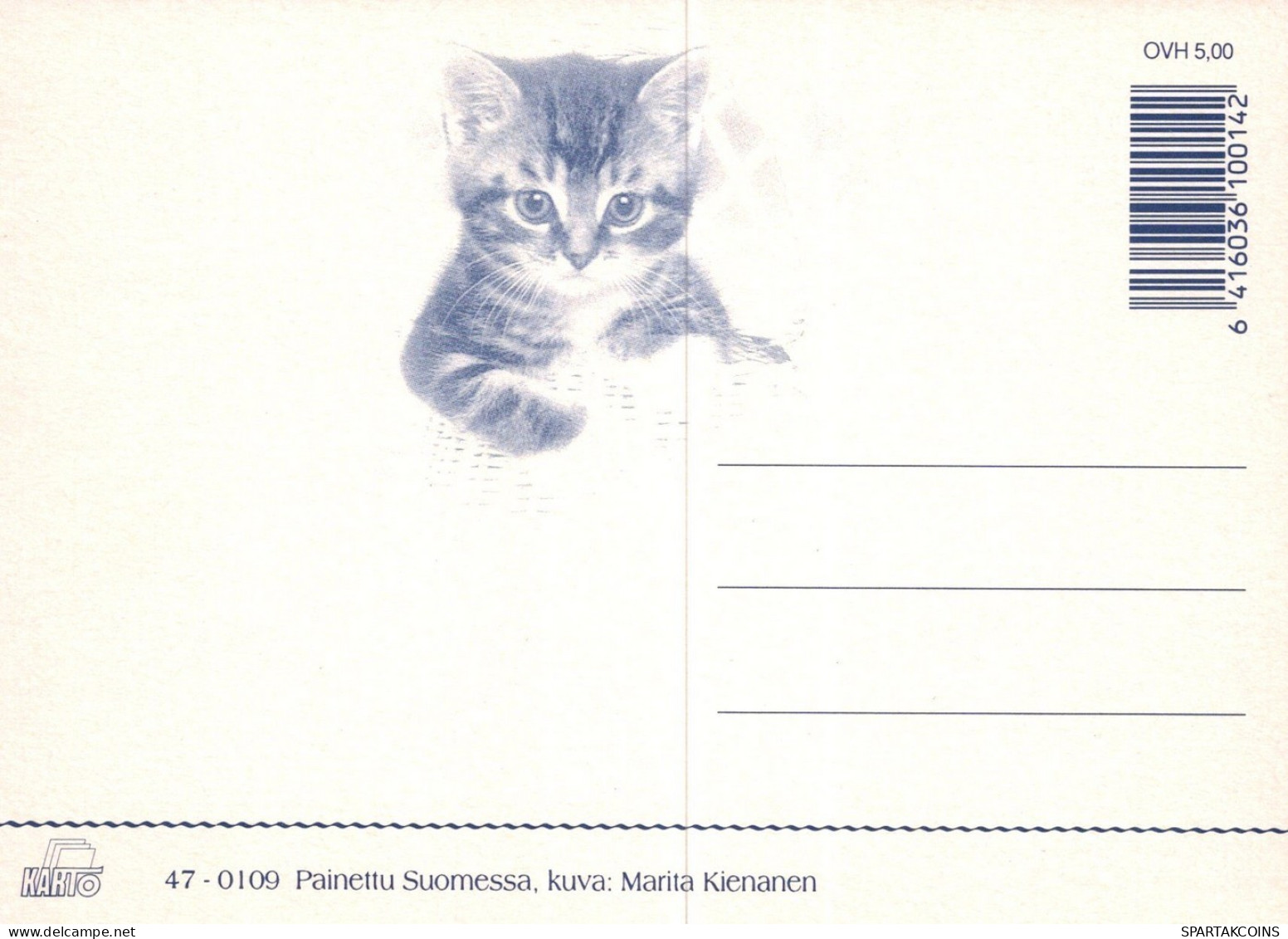 KATZE MIEZEKATZE Tier Vintage Ansichtskarte Postkarte CPSM Unposted #PAM432.DE - Katzen