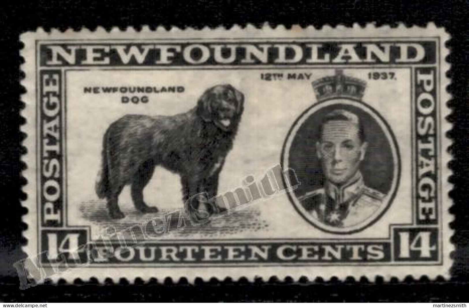 Terranova Newfoundland 1937 Yvert 213, Fauna, Dog Terranova - MH - Original Gum With Age Tones Single Value - Altri & Non Classificati