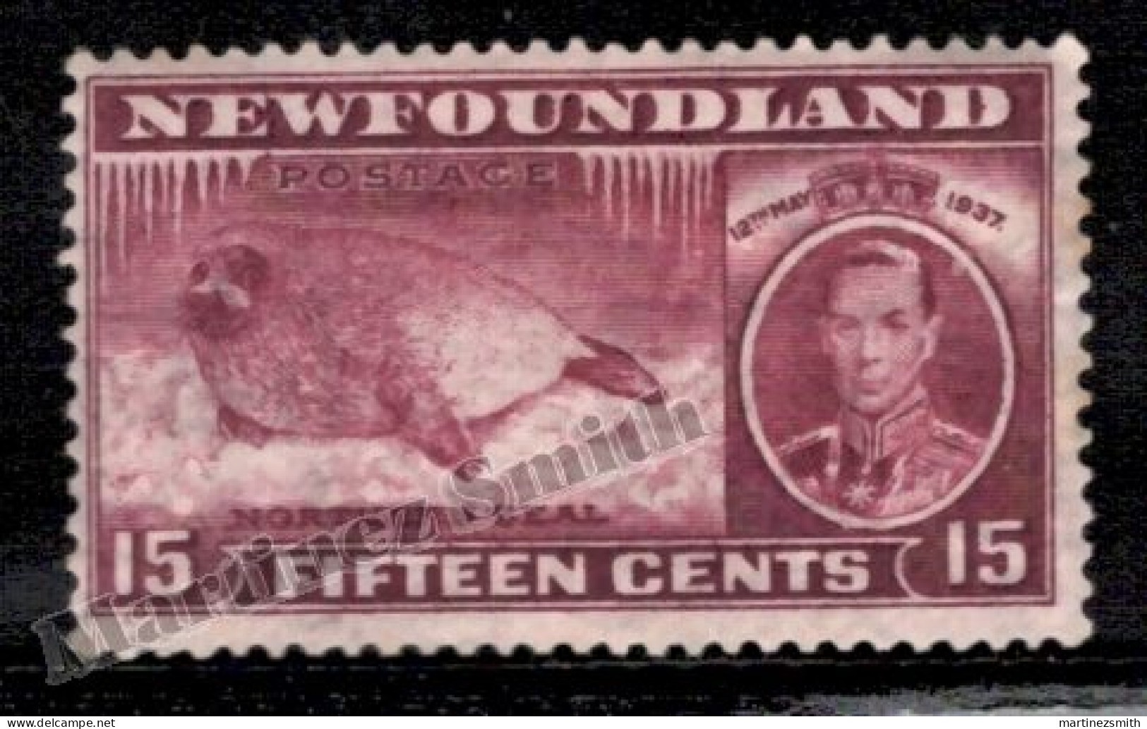 Terranova Newfoundland 1937 Yvert 214, Fauna, North Seal - MH - Original Gum With Age Tones Single Value - Otros & Sin Clasificación