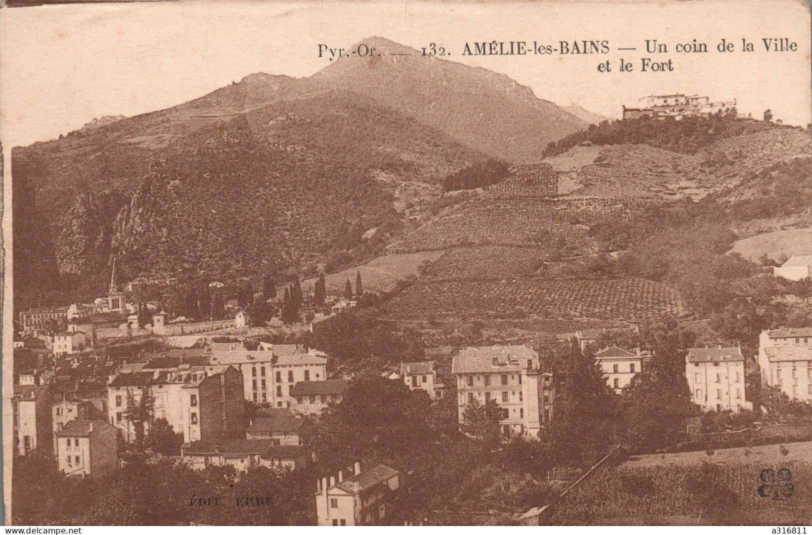 Amelie Les Bains Un Coin De La Ville Et Le Fort - Amélie-les-Bains-Palalda