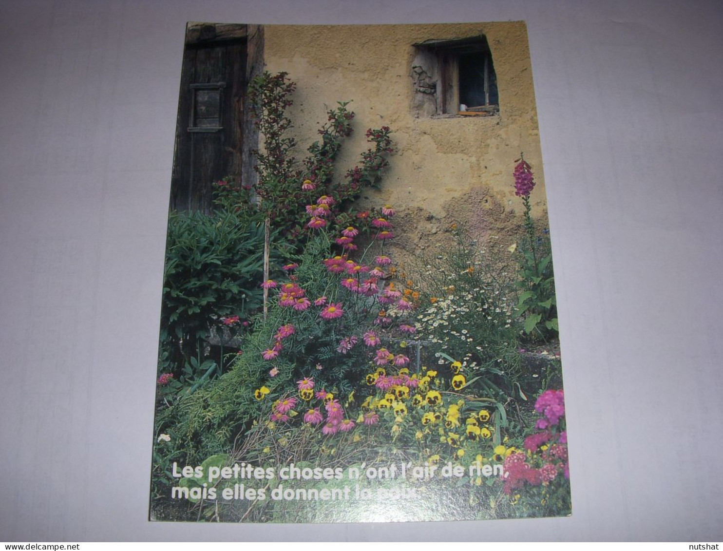 CP CARTE POSTALE MESSAGE FLEURS Et MAISON Les Petites Choses... ECRITE - Fleurs