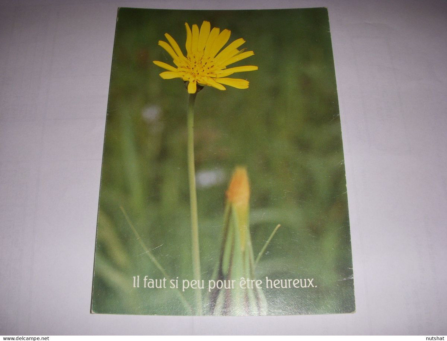 CP CARTE POSTALE MESSAGE FLEUR Il Faut Si Peu Pour être Heureux... ECRITE En 88 - Blumen