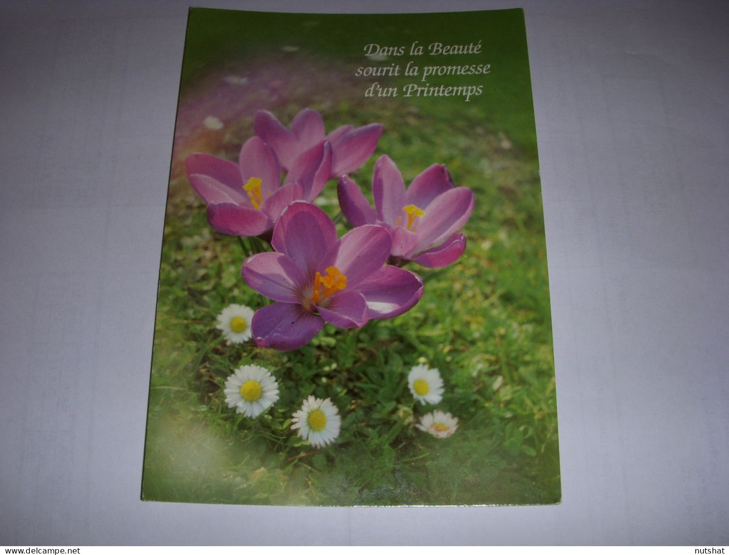 CP CARTE POSTALE MESSAGE FLEURS Dans La Beaute Sourit La Promesse... ECRITE - Fleurs