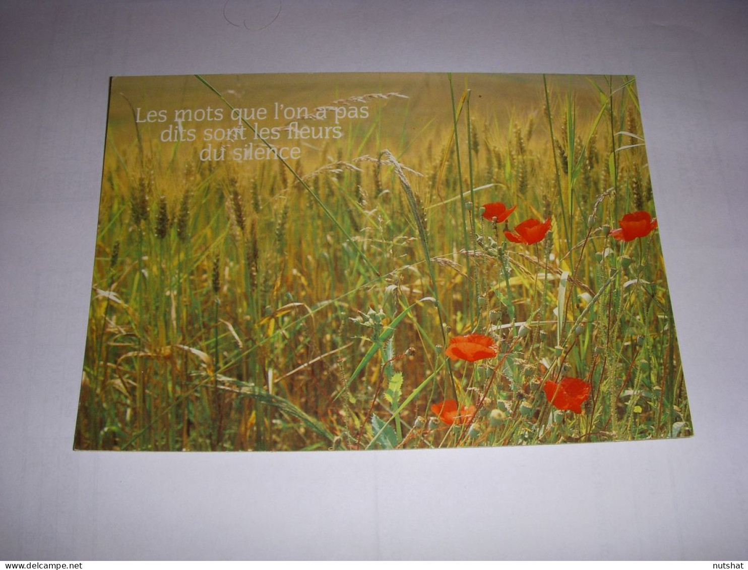 CP CARTE POSTALE MESSAGE CHAMP De FLEURS Les Mots Que L'on A Pas Dits... ECRITE - Fleurs