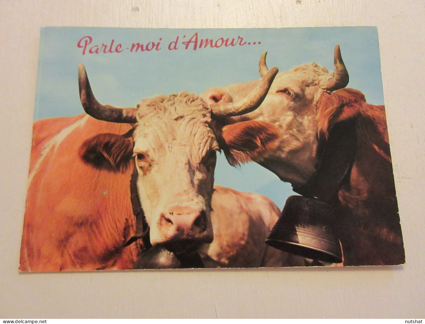 CP CARTE POSTALE MESSAGE DEUX VACHES : Parle-moi D'Amour... - Ecrite En 1970     - Cows