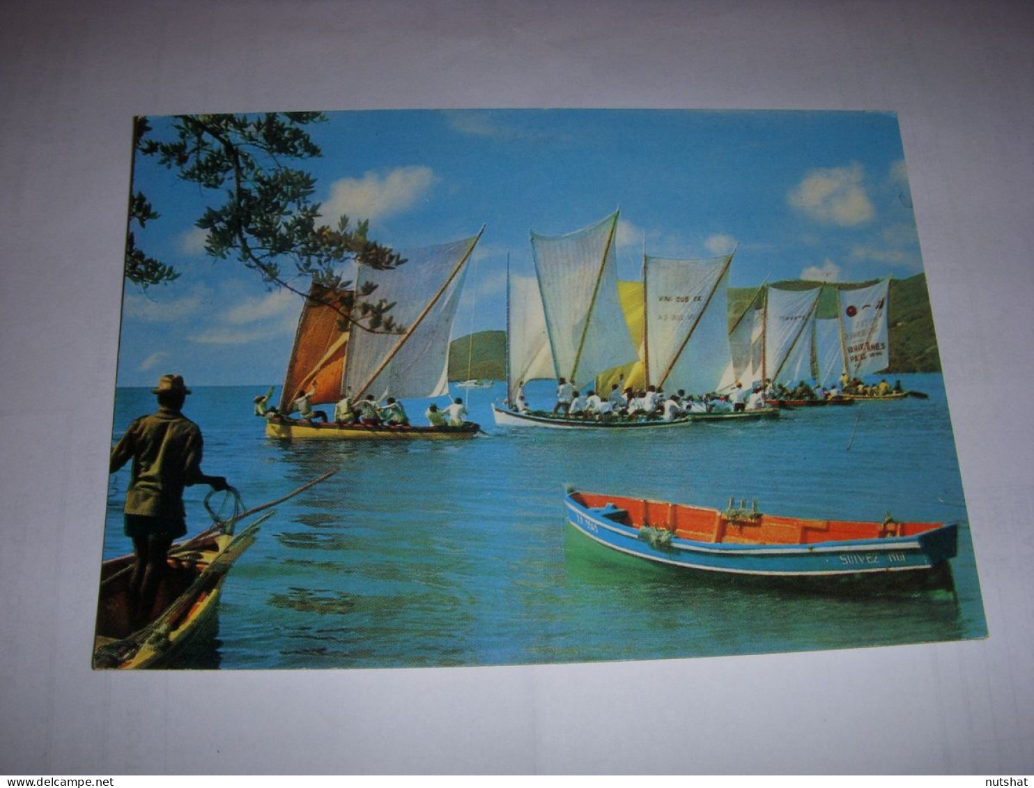 CP CARTE POSTALE MARTINIQUE YOLES RONDES En BAIE Du MARIN - ECRITE En 1977 - Other & Unclassified