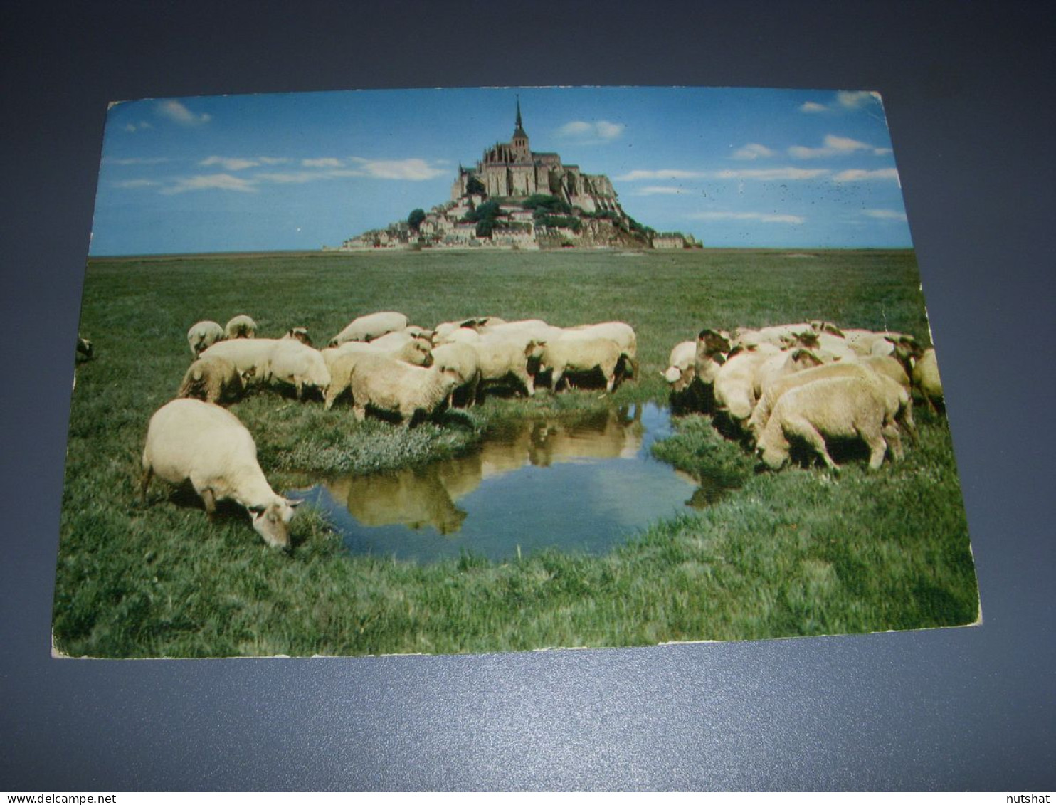 CP CARTE POSTALE MANCHE MONT SAINT MICHEL Les MOUTONS - Ecrite En 1966 - Le Mont Saint Michel