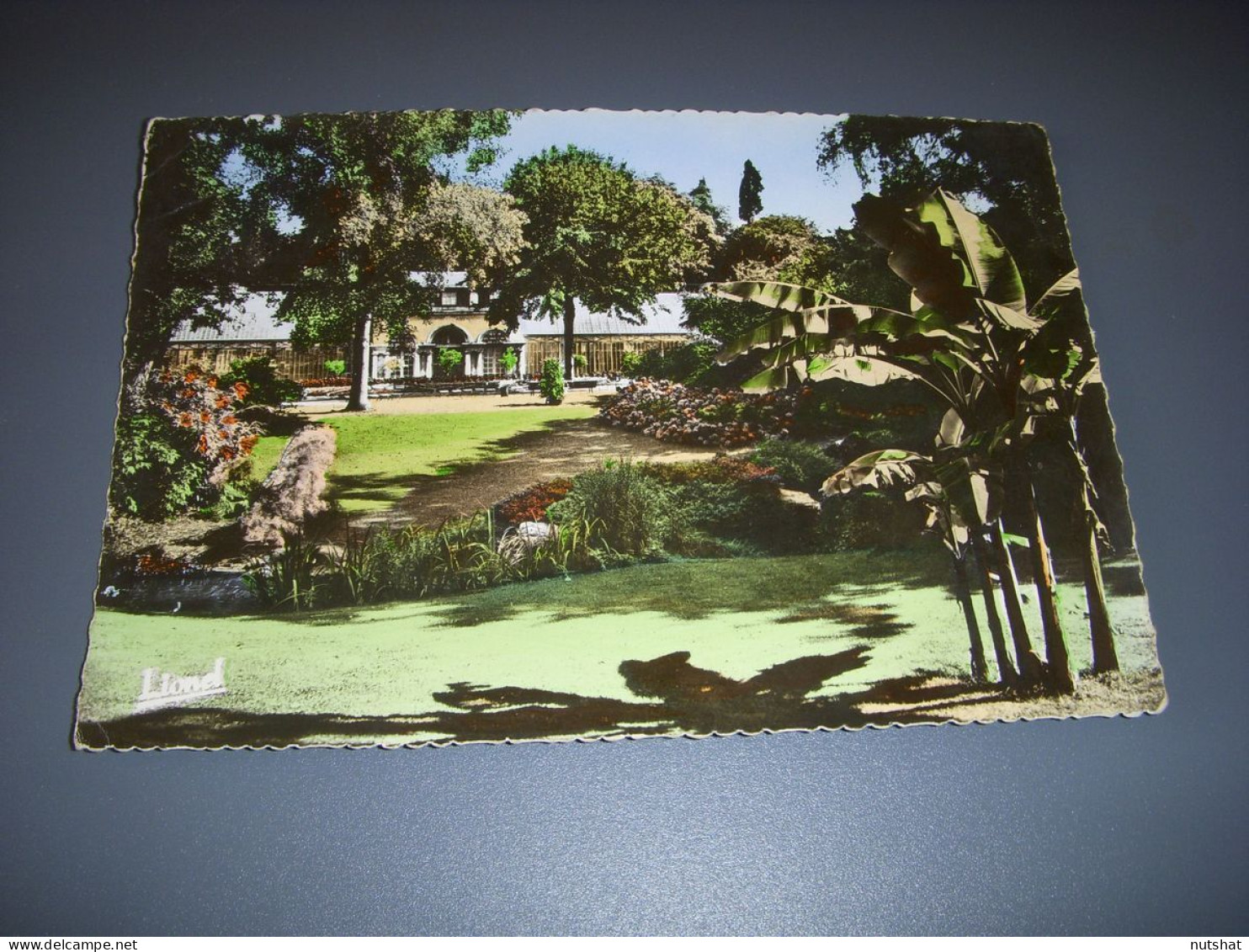 CP CARTE POSTALE MAINE Et LOIRE ANGERS Le JARDIN Des PLANTES  - Ecrite En 1963 - Angers