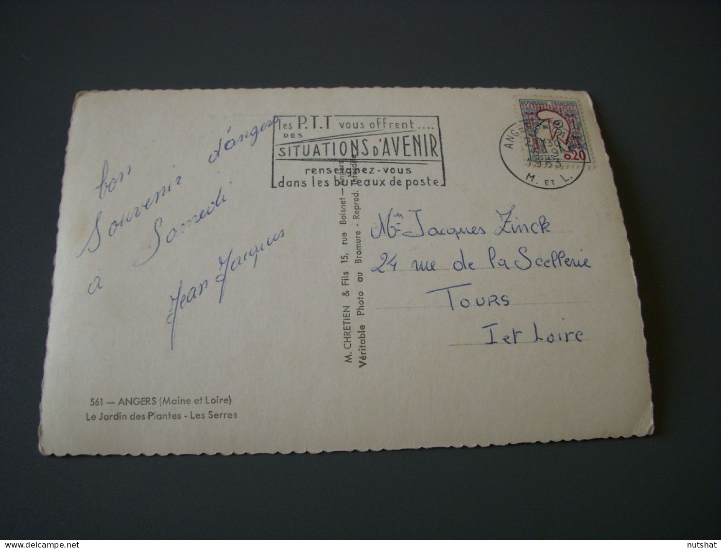 CP CARTE POSTALE MAINE Et LOIRE ANGERS Le JARDIN Des PLANTES  - Ecrite En 1963 - Angers