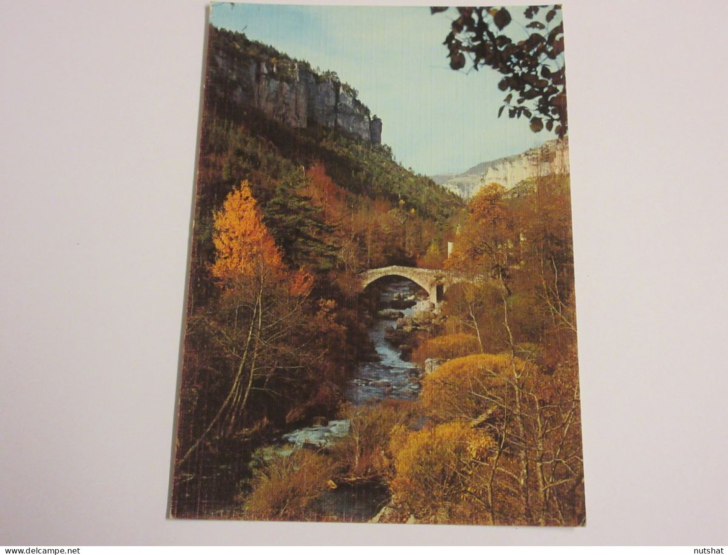 CP CARTE POSTALE LOZERE GORGES De La JONTE PONT De CAPELAN - Ecrite En 1987 - Otros & Sin Clasificación