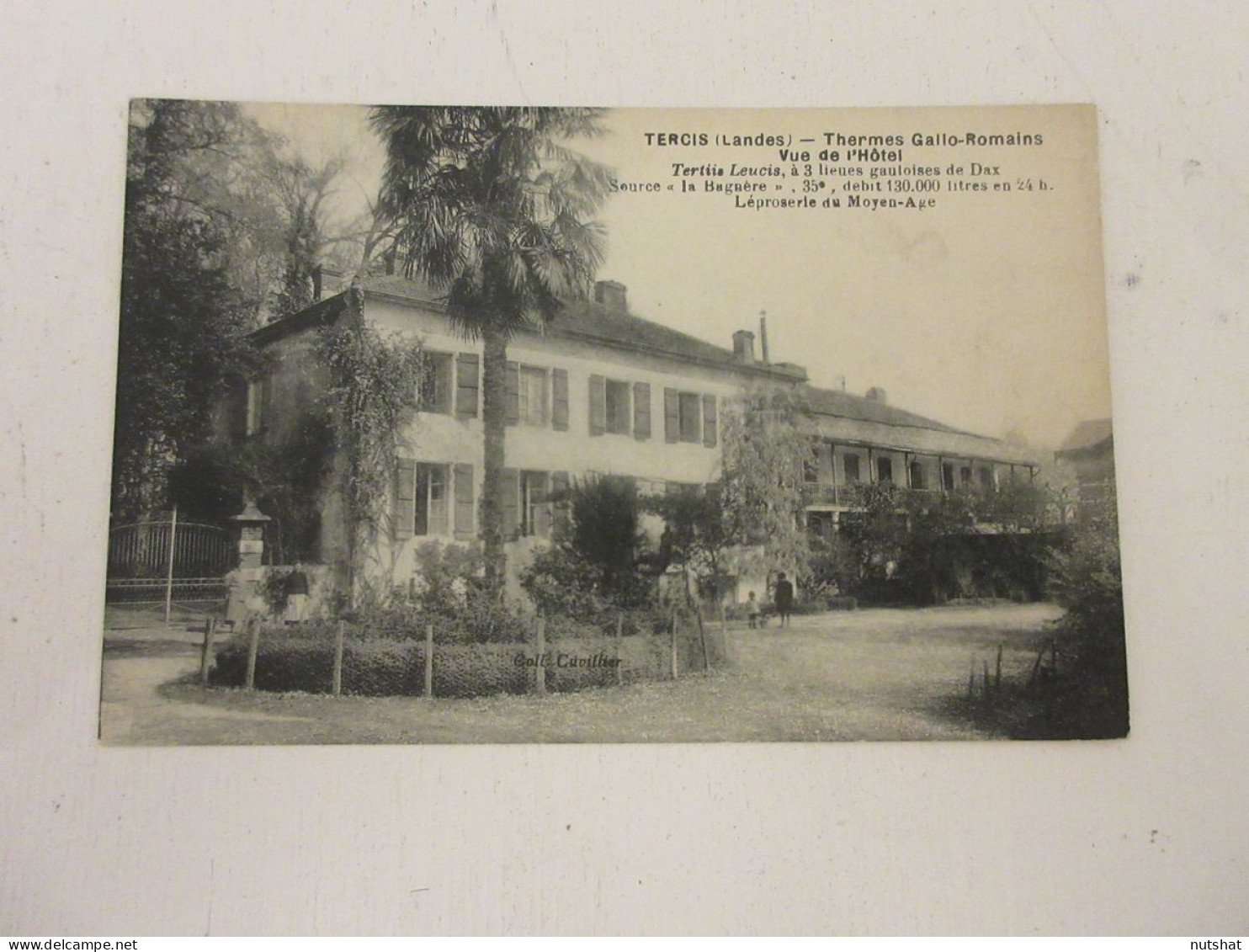 CP CARTE POSTALE LANDES TERCIS THERMES GALLO-ROMAINS VUE De L'HOTEL              - Otros & Sin Clasificación