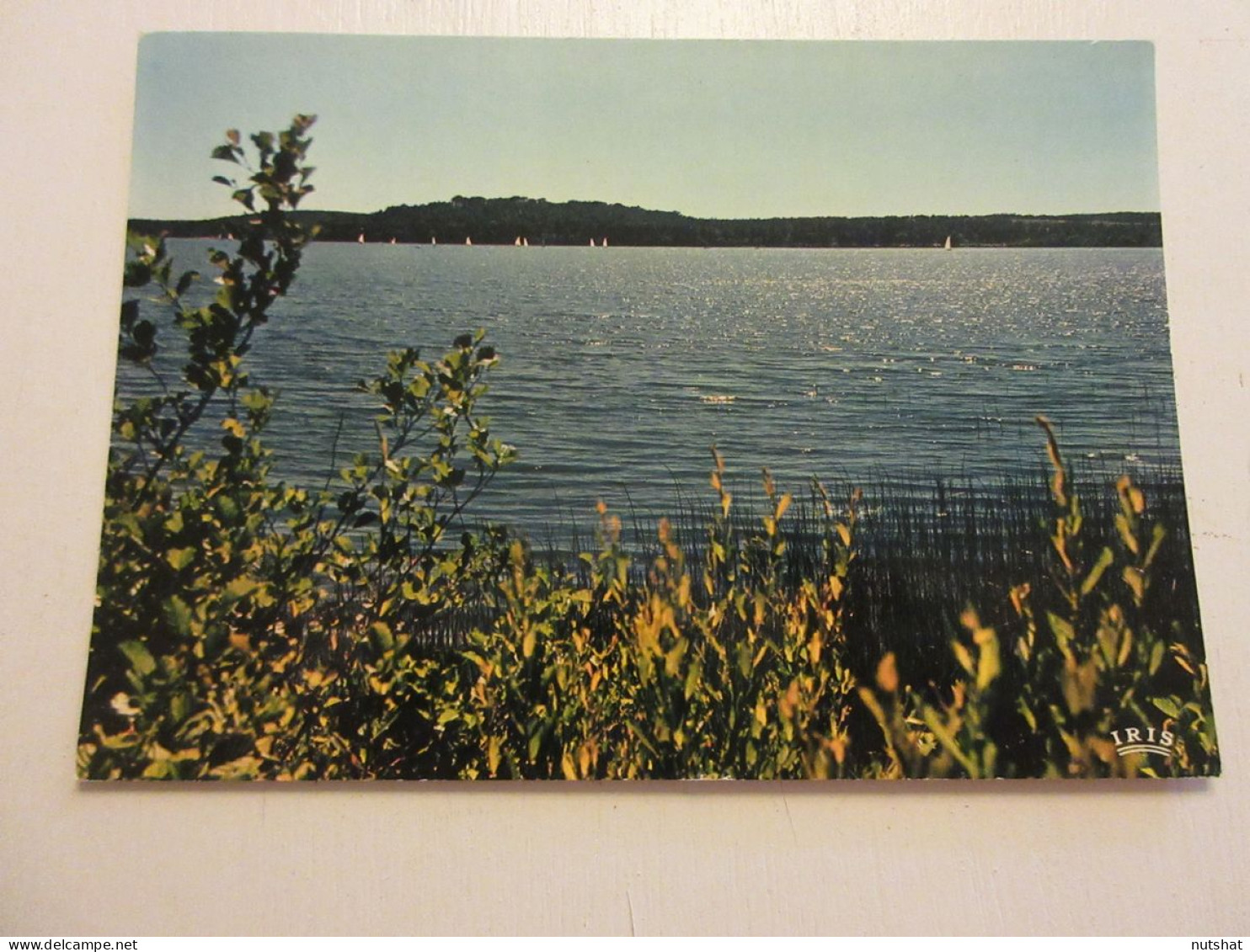 CP CARTE POSTALE LANDES MIMIZAN Le LAC COTE AQUITAINE - Ecrite En 1979           - Mimizan