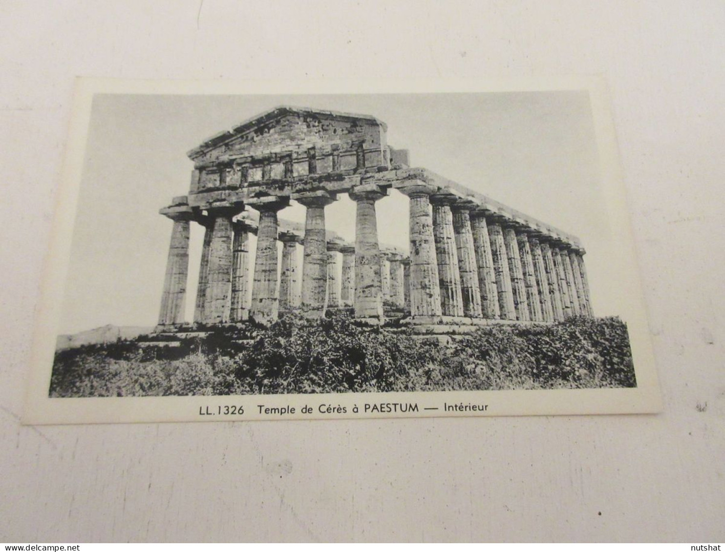 CP CARTE POSTALE ITALIE CAMPANIE PAESTUM TEMPLE De CERES - Vierge                - Autres & Non Classés