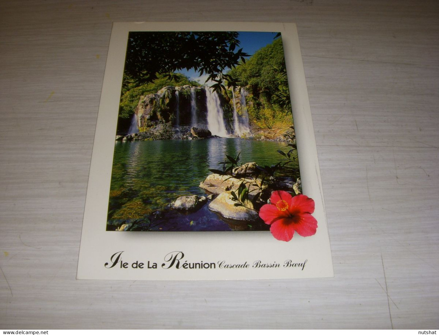 CP CARTE POSTALE ILE De La REUNION CASCADE BASSIN BOEUF - ECRITE En 2000 - Réunion