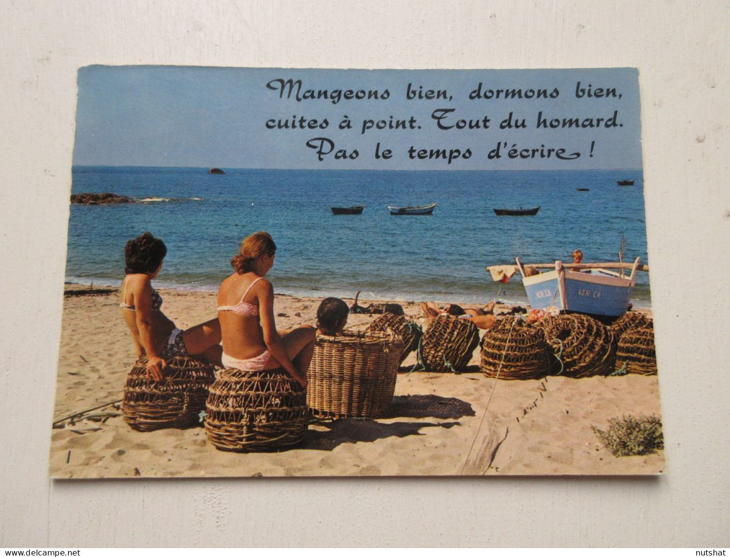 CP CARTE POSTALE HUMOUR MANGEONS BIEN DORMONS BIEN CUITES A POINT                - Humor