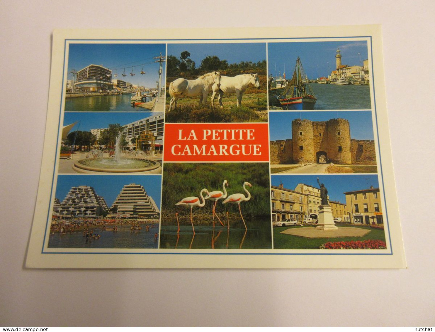 CP CARTE POSTALE HERAULT La PETITE CAMARGUE PALAVAS CAMON La GRANDE MOTTE LUNEL  - Sonstige & Ohne Zuordnung