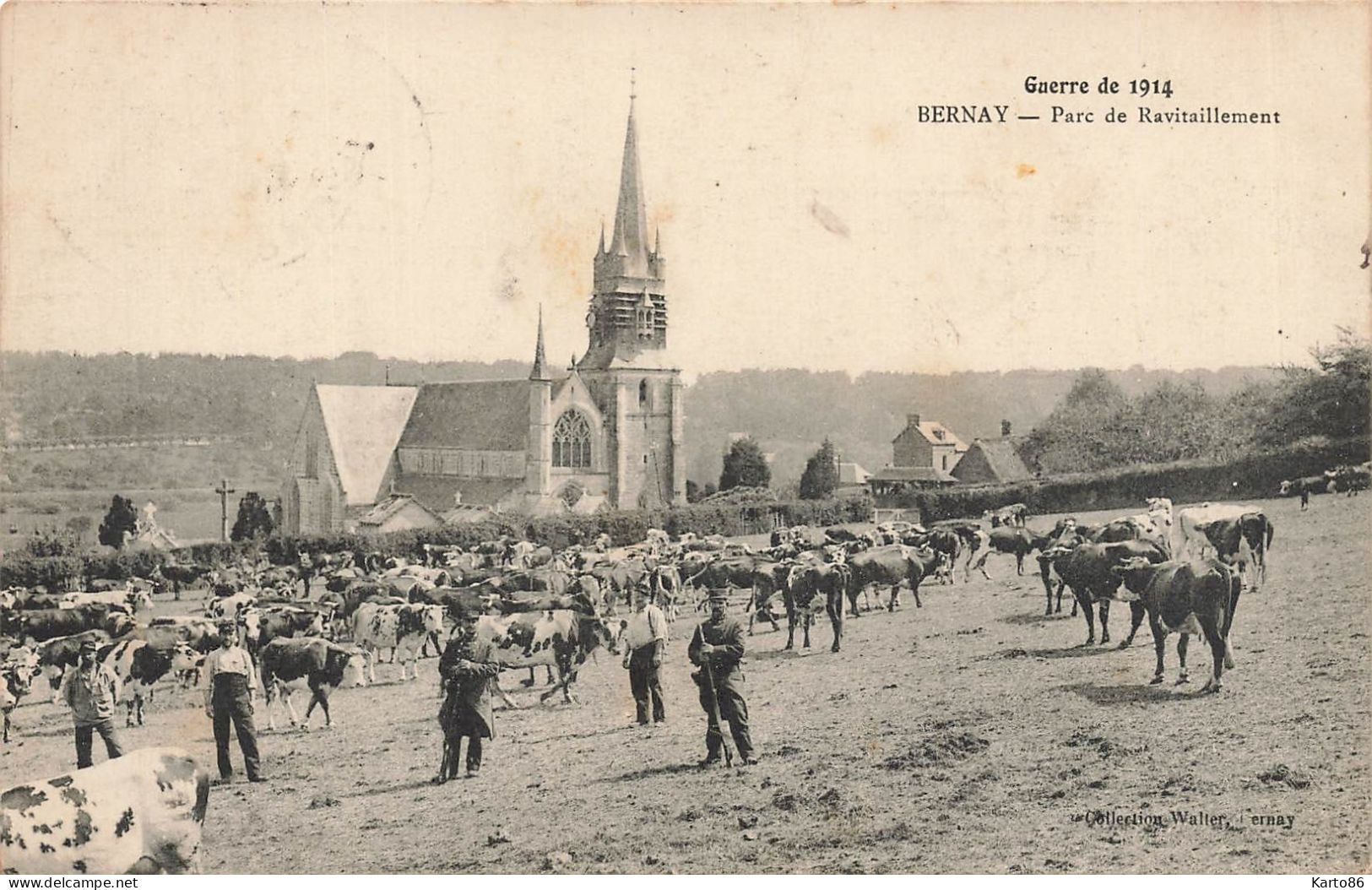 Bernay * Parc De Ravitaillement , Guerre De 1914 * Bovins - Bernay