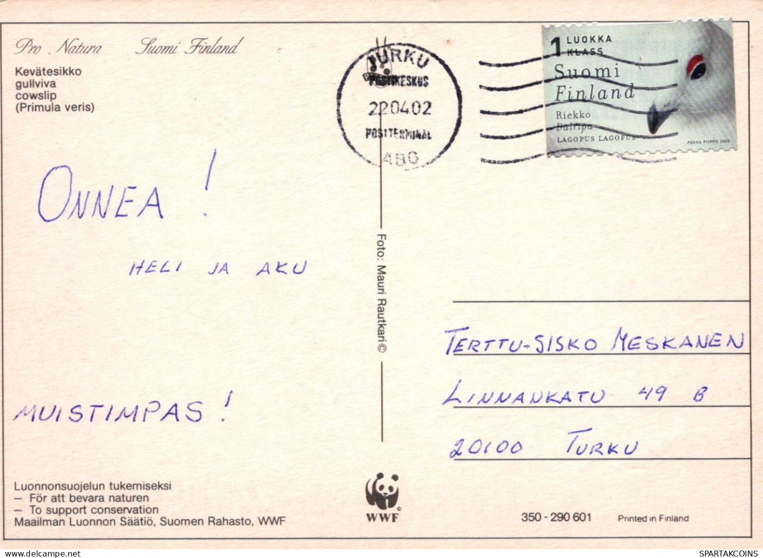 FLORES Vintage Tarjeta Postal CPSM #PAS459.ES - Blumen
