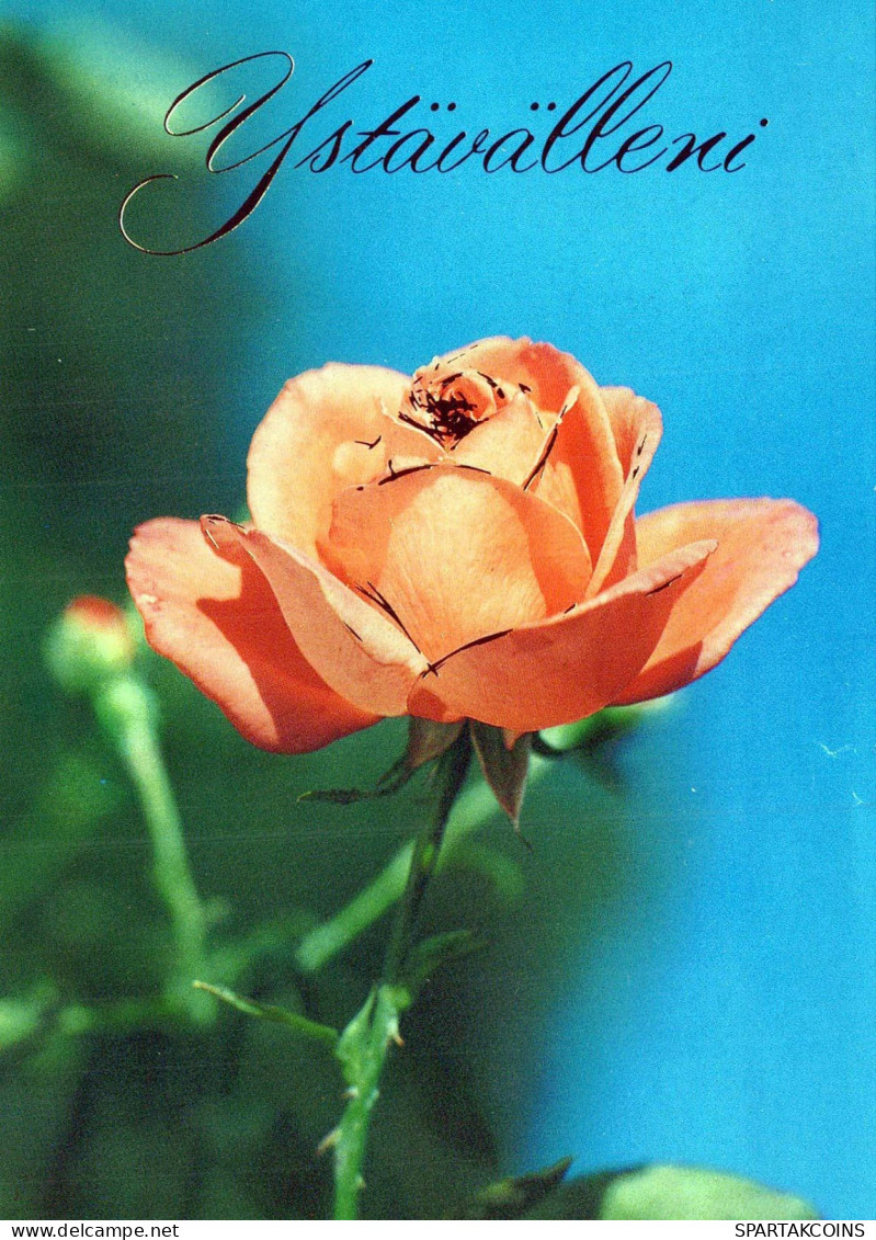 FLORES Vintage Tarjeta Postal CPSM #PAS279.ES - Blumen