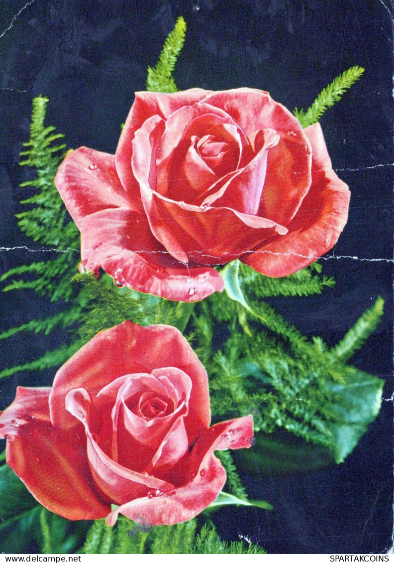 FLORES Vintage Tarjeta Postal CPSM #PAS159.ES - Blumen