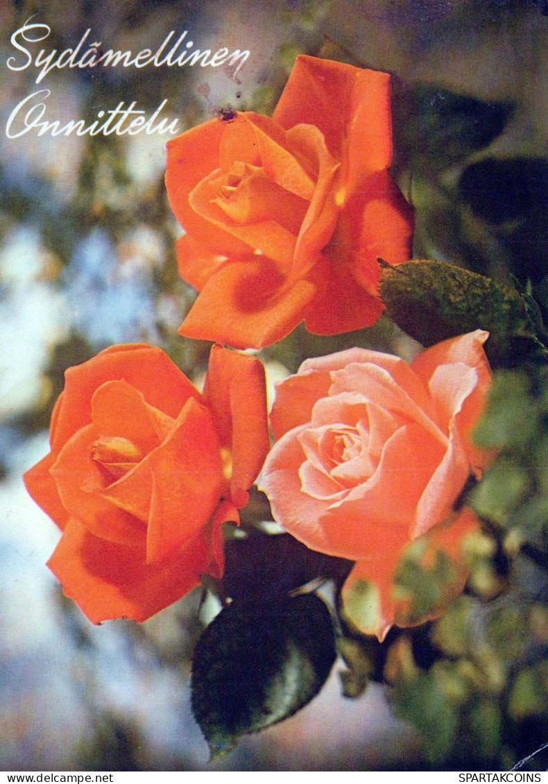 FLORES Vintage Tarjeta Postal CPSM #PAR978.ES - Blumen