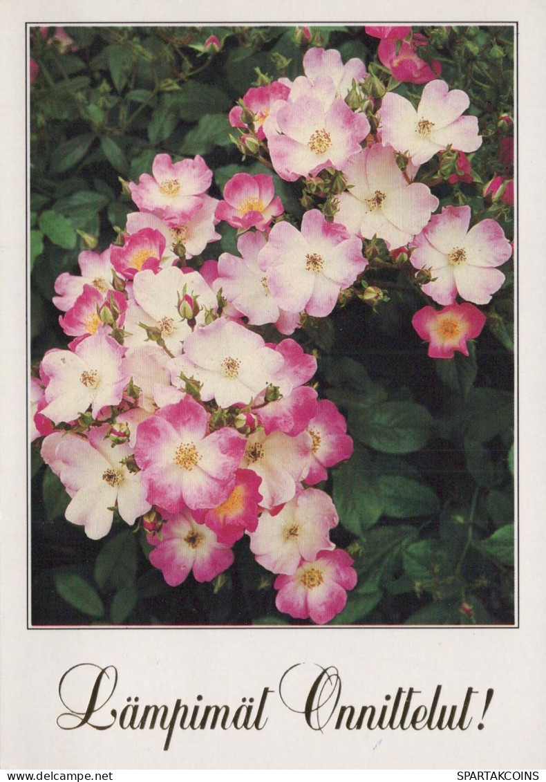 FLORES Vintage Tarjeta Postal CPSM #PAR738.ES - Blumen