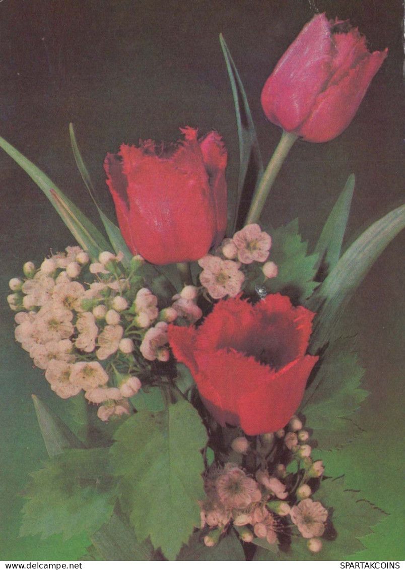 FLORES Vintage Tarjeta Postal CPSM #PAR438.ES - Fleurs