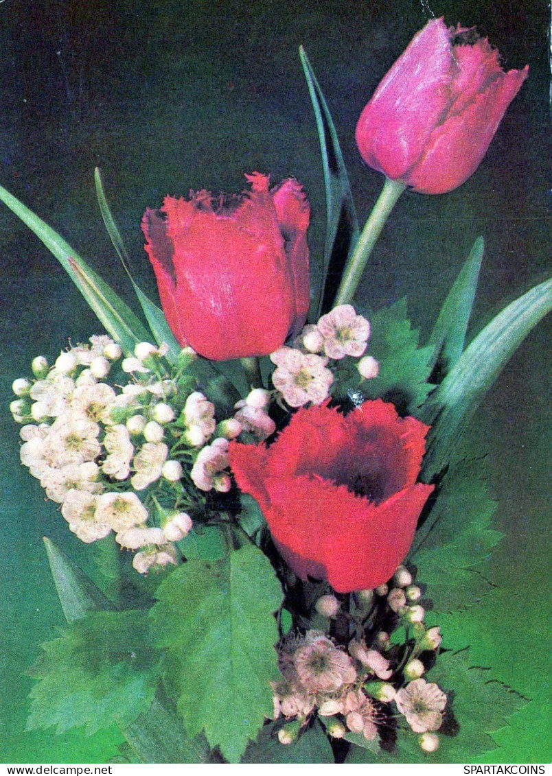 FLORES Vintage Tarjeta Postal CPSM #PAR438.ES - Fleurs