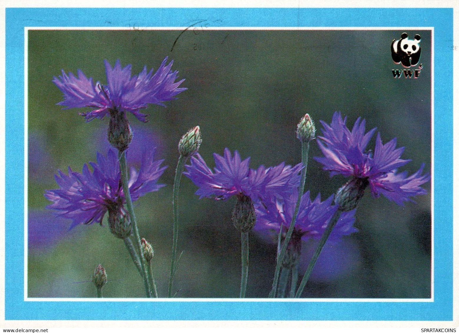 FLORES Vintage Tarjeta Postal CPSM #PAR197.ES - Blumen