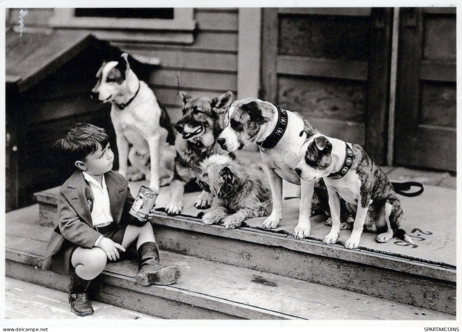 PERRO Animales Vintage Tarjeta Postal CPSM #PAN883.ES - Hunde