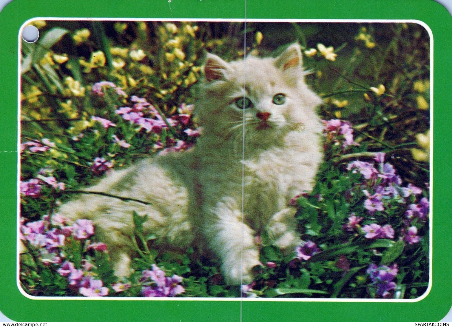 GATO GATITO Animales Vintage Tarjeta Postal CPSM #PAM365.ES - Cats