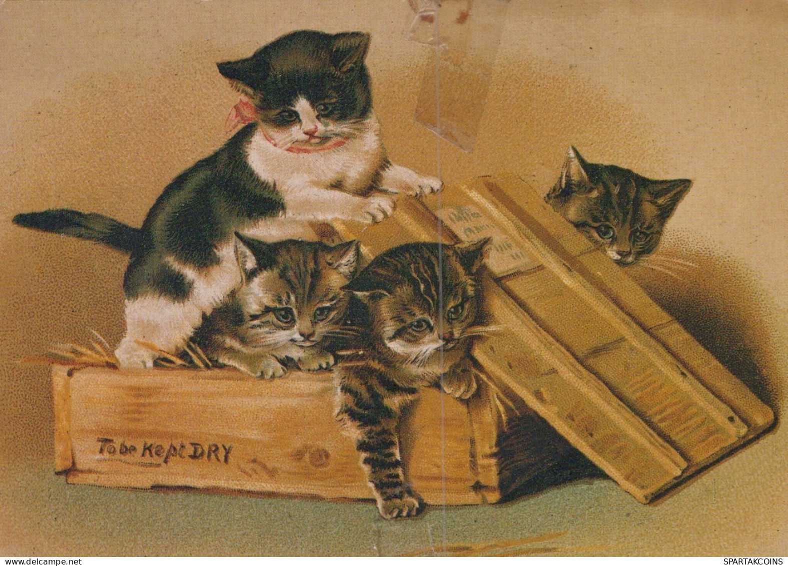 GATO GATITO Animales Vintage Tarjeta Postal CPSM #PAM430.ES - Cats