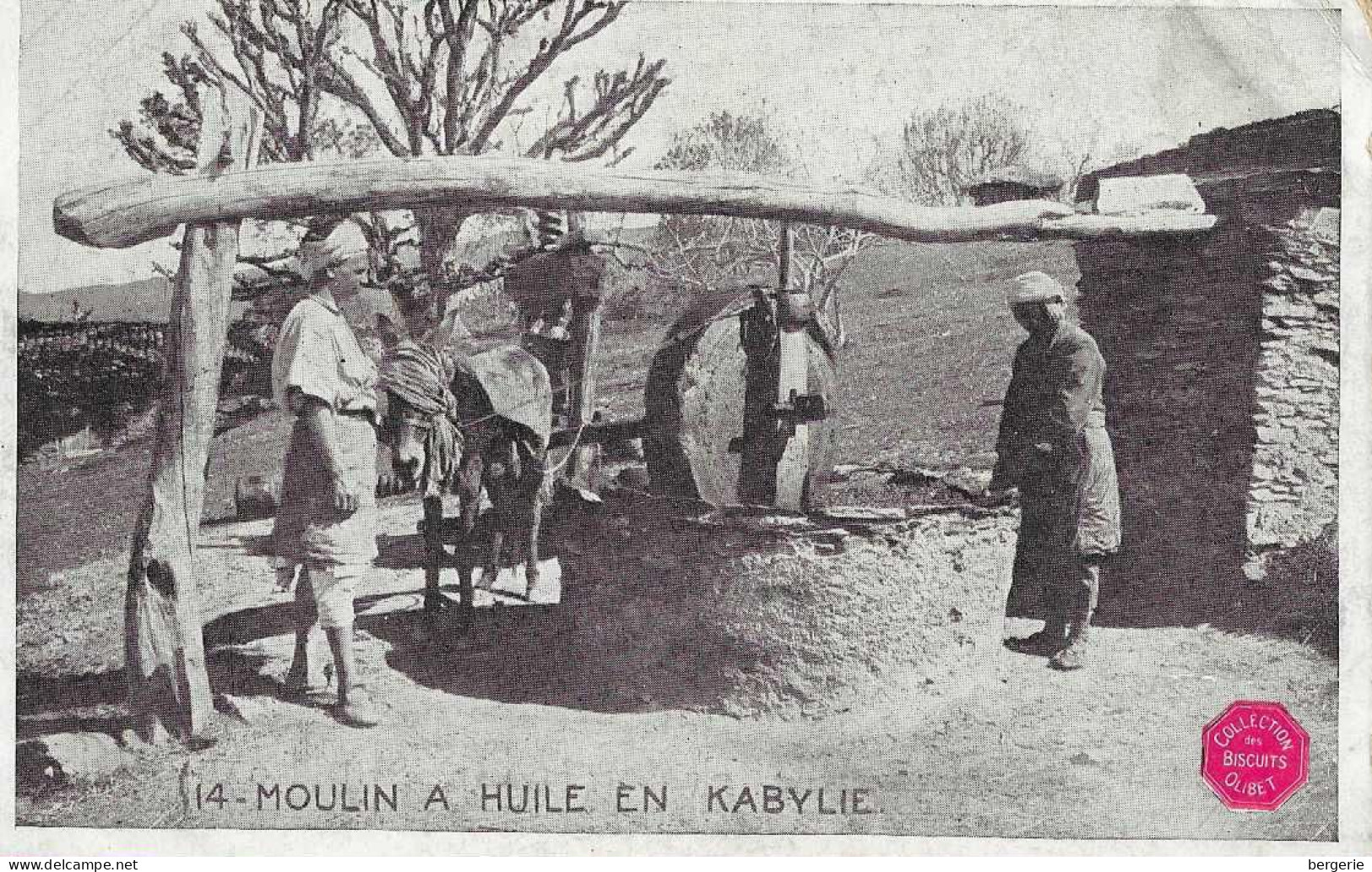 E/ 01        -   Algérie    -      Moulin A Huile En Kabylie - Professioni