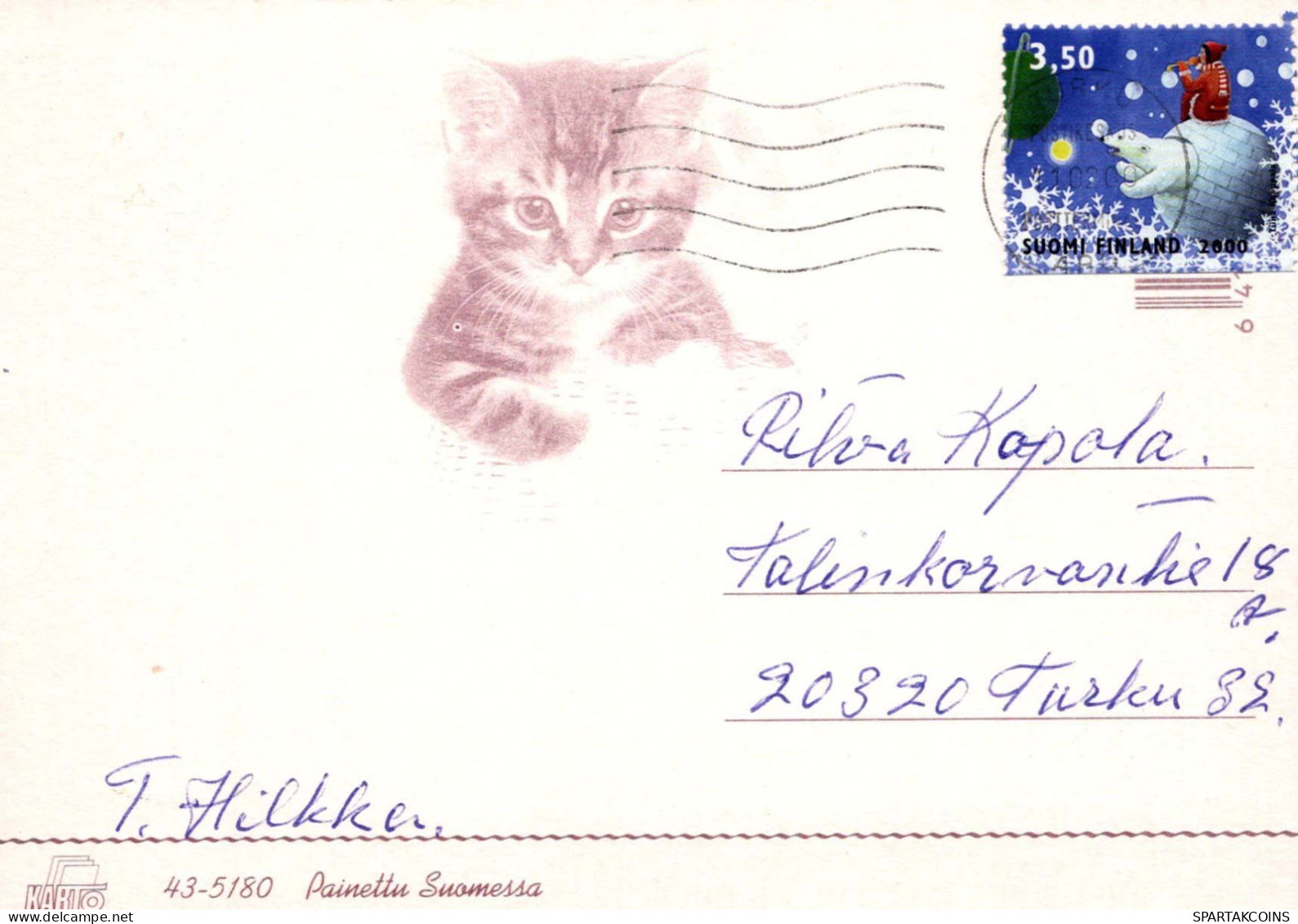 KATZE MIEZEKATZE Tier Vintage Ansichtskarte Postkarte CPSM #PBQ969.DE - Cats