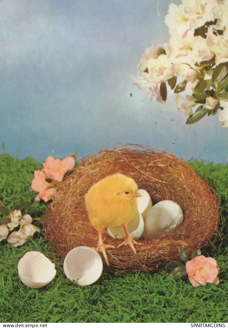 OSTERN HUHN EI Vintage Ansichtskarte Postkarte CPSM #PBP115.DE - Easter