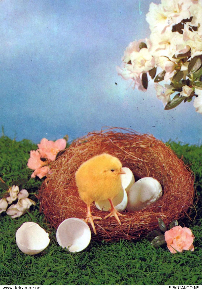 OSTERN HUHN EI Vintage Ansichtskarte Postkarte CPSM #PBP115.DE - Ostern