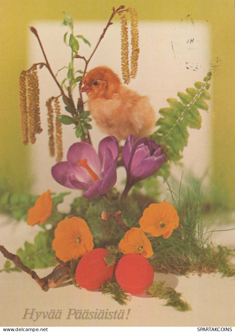 OSTERN HUHN EI Vintage Ansichtskarte Postkarte CPSM #PBP176.DE - Pâques