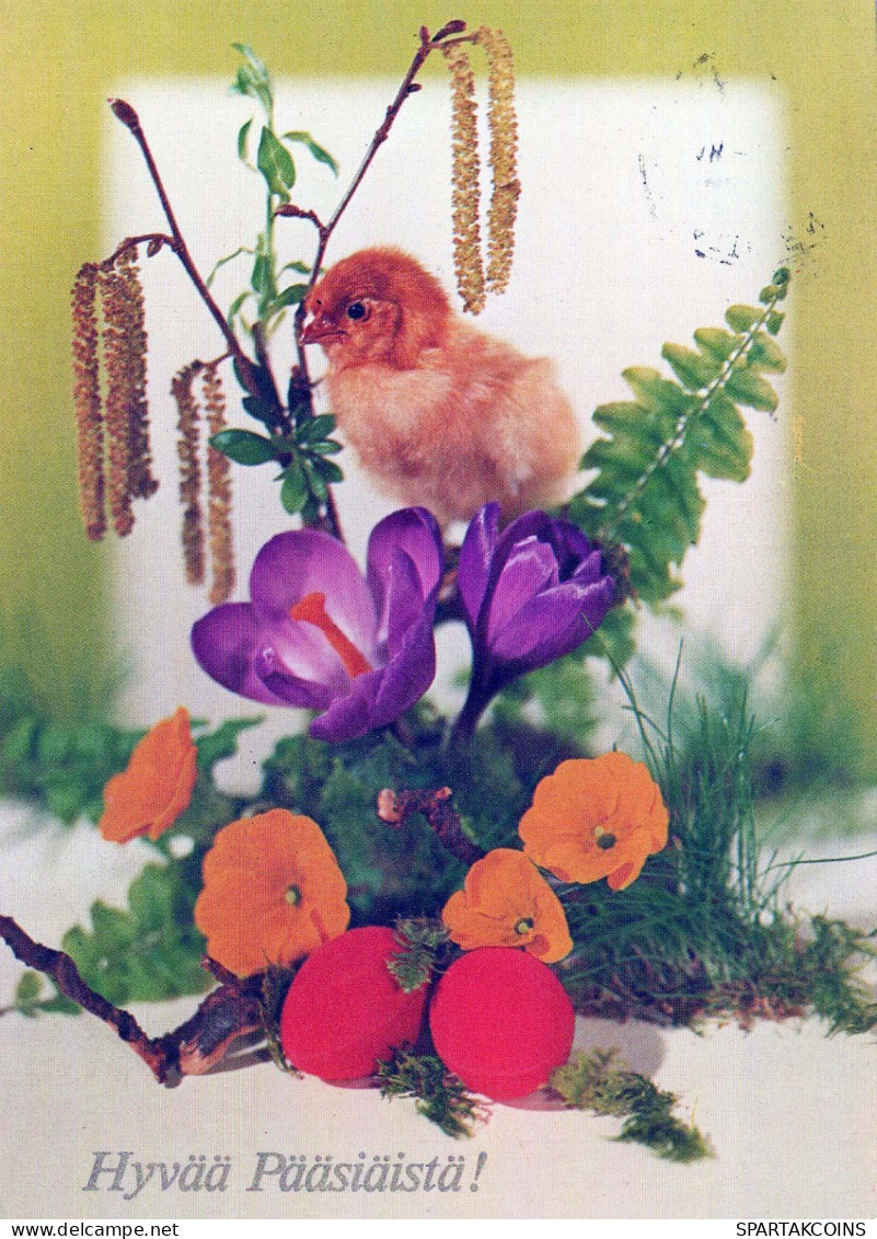 OSTERN HUHN EI Vintage Ansichtskarte Postkarte CPSM #PBP176.DE - Easter