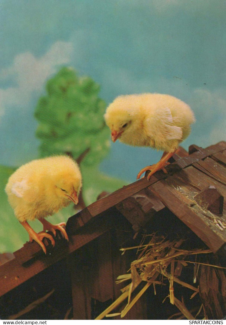 OSTERN HUHN EI Vintage Ansichtskarte Postkarte CPSM #PBO736.DE - Pâques