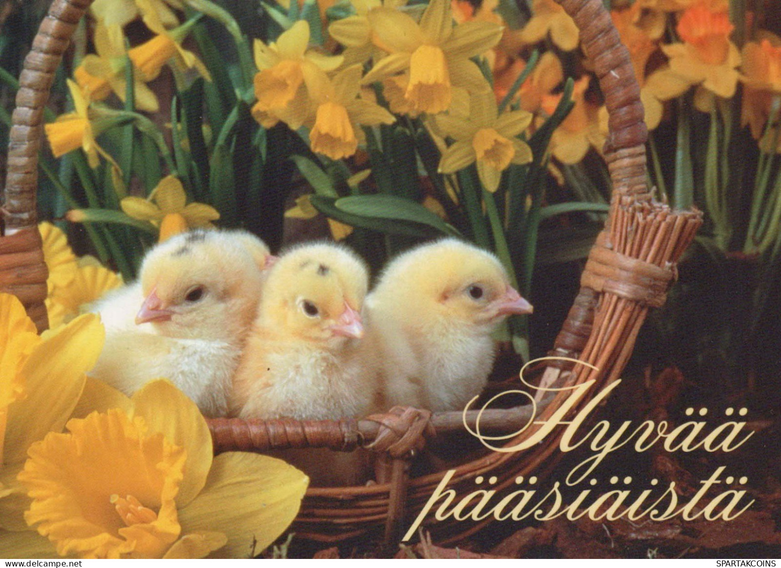 OSTERN HUHN EI Vintage Ansichtskarte Postkarte CPSM #PBO926.DE - Ostern