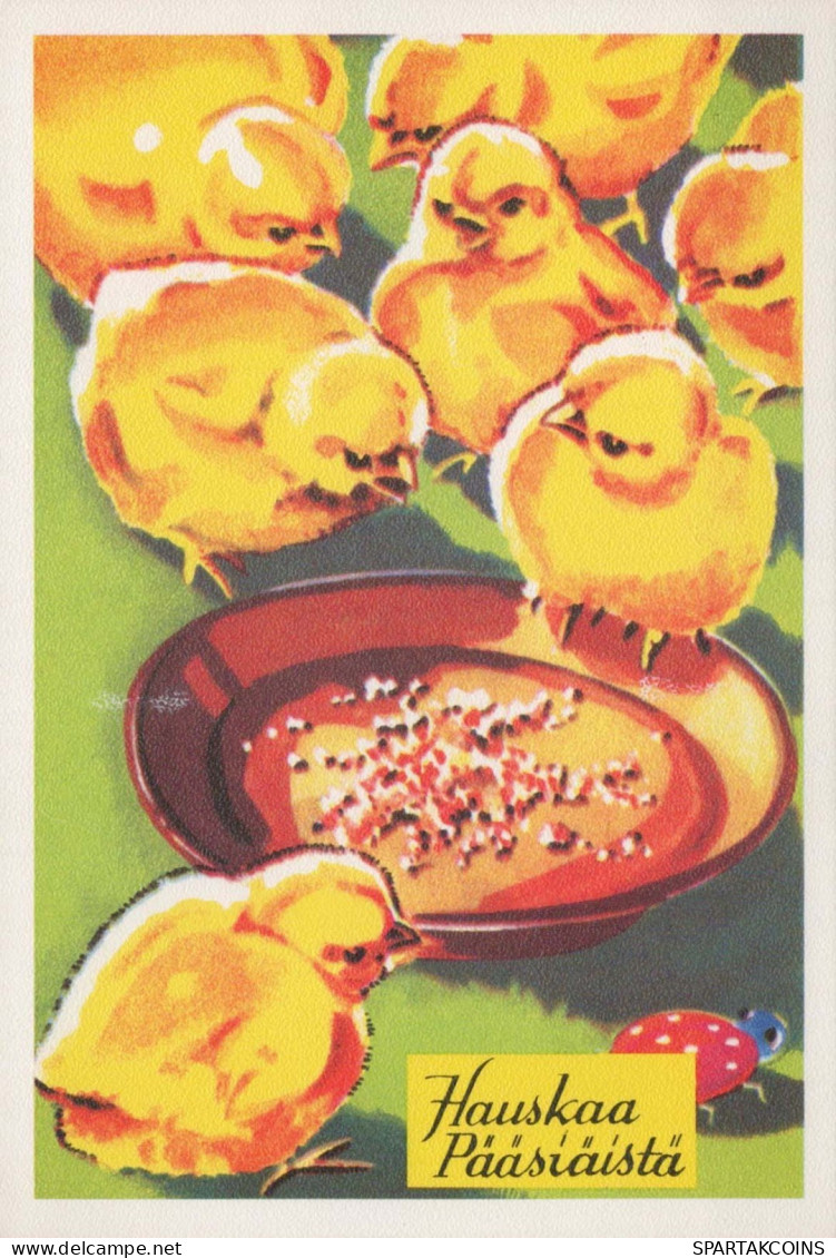 OSTERN HUHN EI Vintage Ansichtskarte Postkarte CPSM #PBO862.DE - Ostern