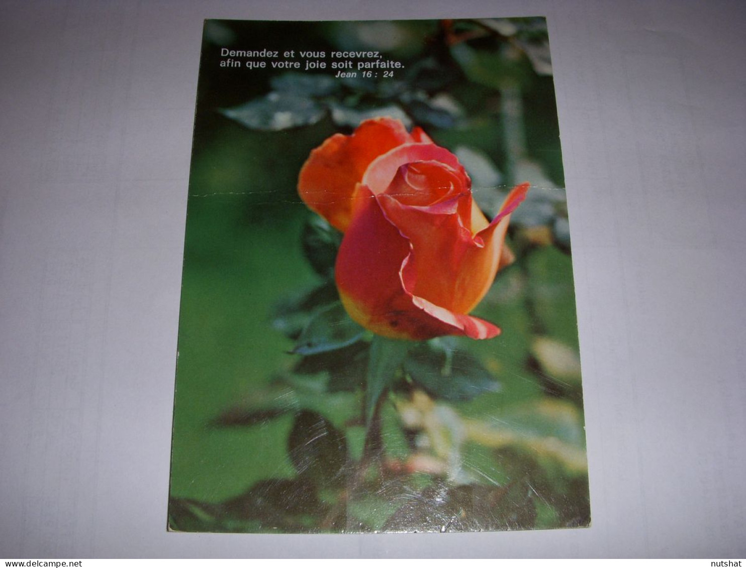 CP CARTE POSTALE RELIGIEUSE ROSE Demandez Et Vous Recevrez (Jean) - ECRITE - Autres & Non Classés