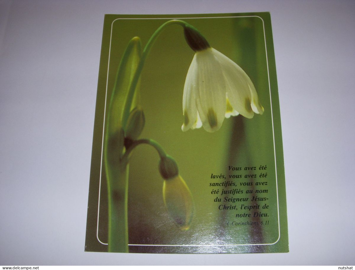 CP CARTE POSTALE RELIGIEUSE FLEURS Vous Avez Ete Laves (Corinthiens) - ECRITE - Sonstige & Ohne Zuordnung