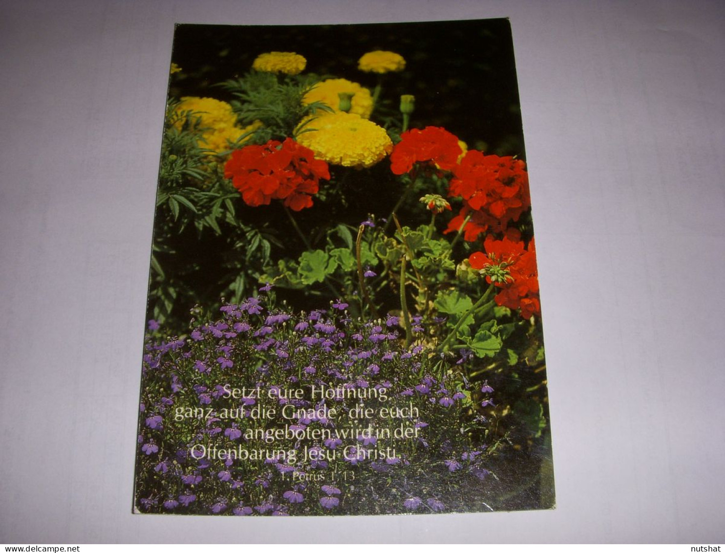 CP CARTE POSTALE RELIGIEUSE FLEURS Mettez Votre Espoir... (Petrus) - ECRITE - Sonstige & Ohne Zuordnung