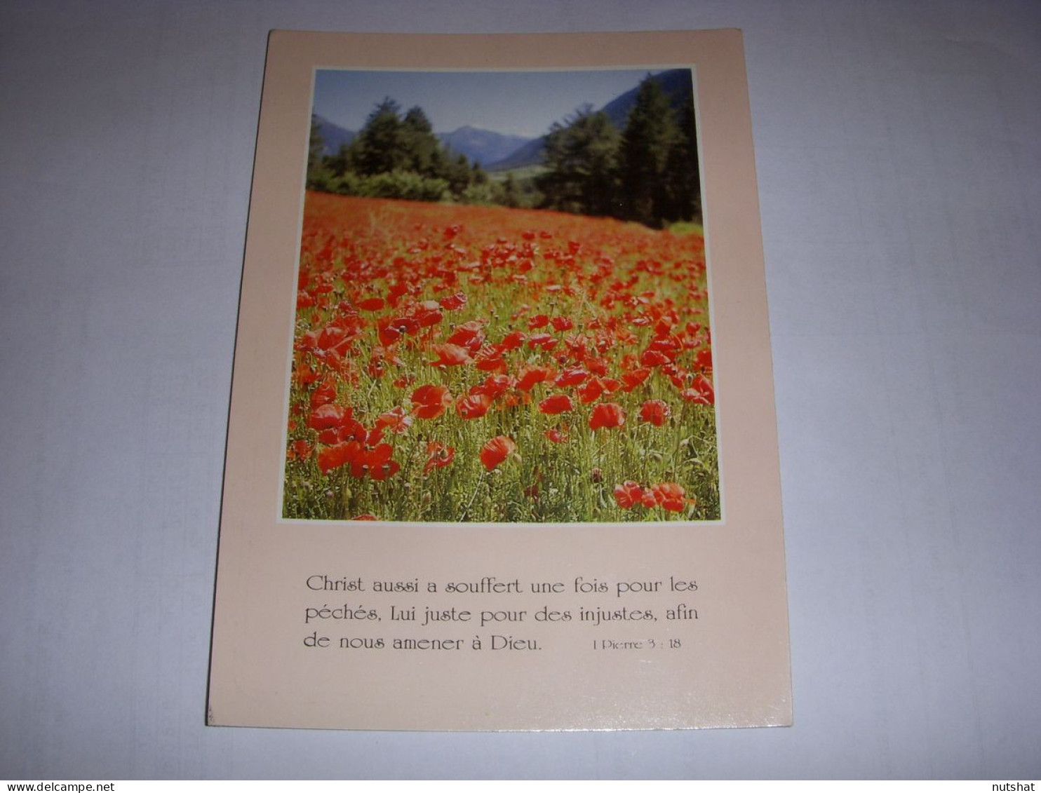 CP CARTE POSTALE RELIGIEUSE COQUELICOTS Christ A Souffert (Pierre) - ECRITE - Altri & Non Classificati