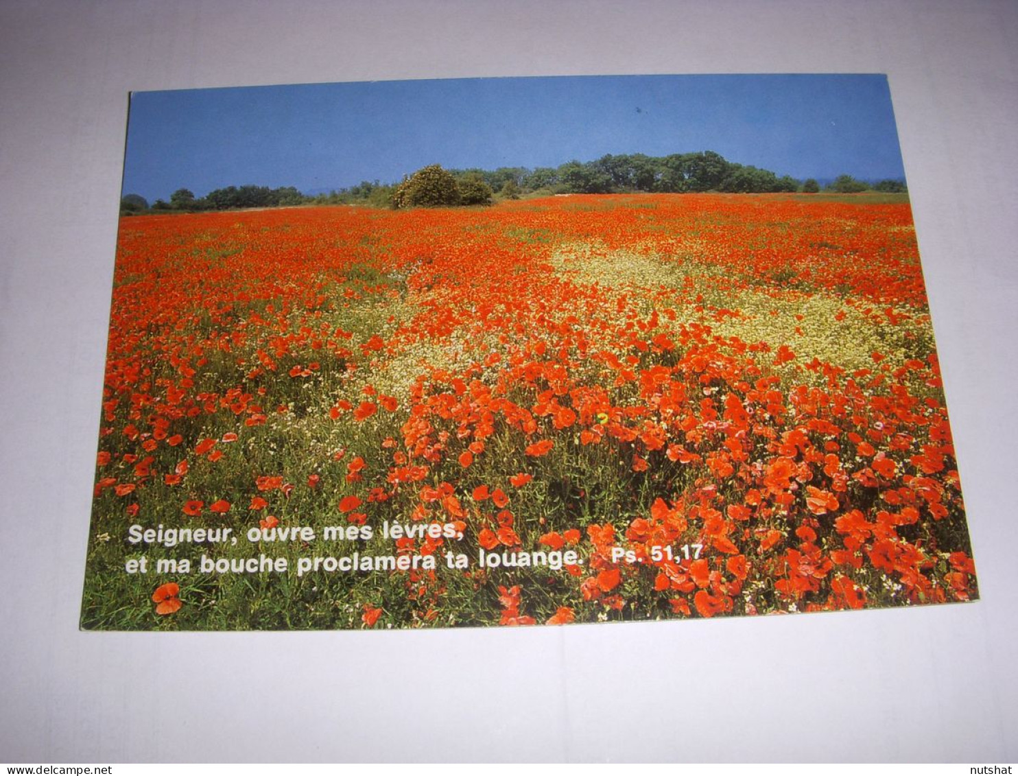 CP CARTE POSTALE RELIGIEUSE COQUELICOTS Seigneur Ouvre Mes Levres (Ps.) - ECRITE - Autres & Non Classés