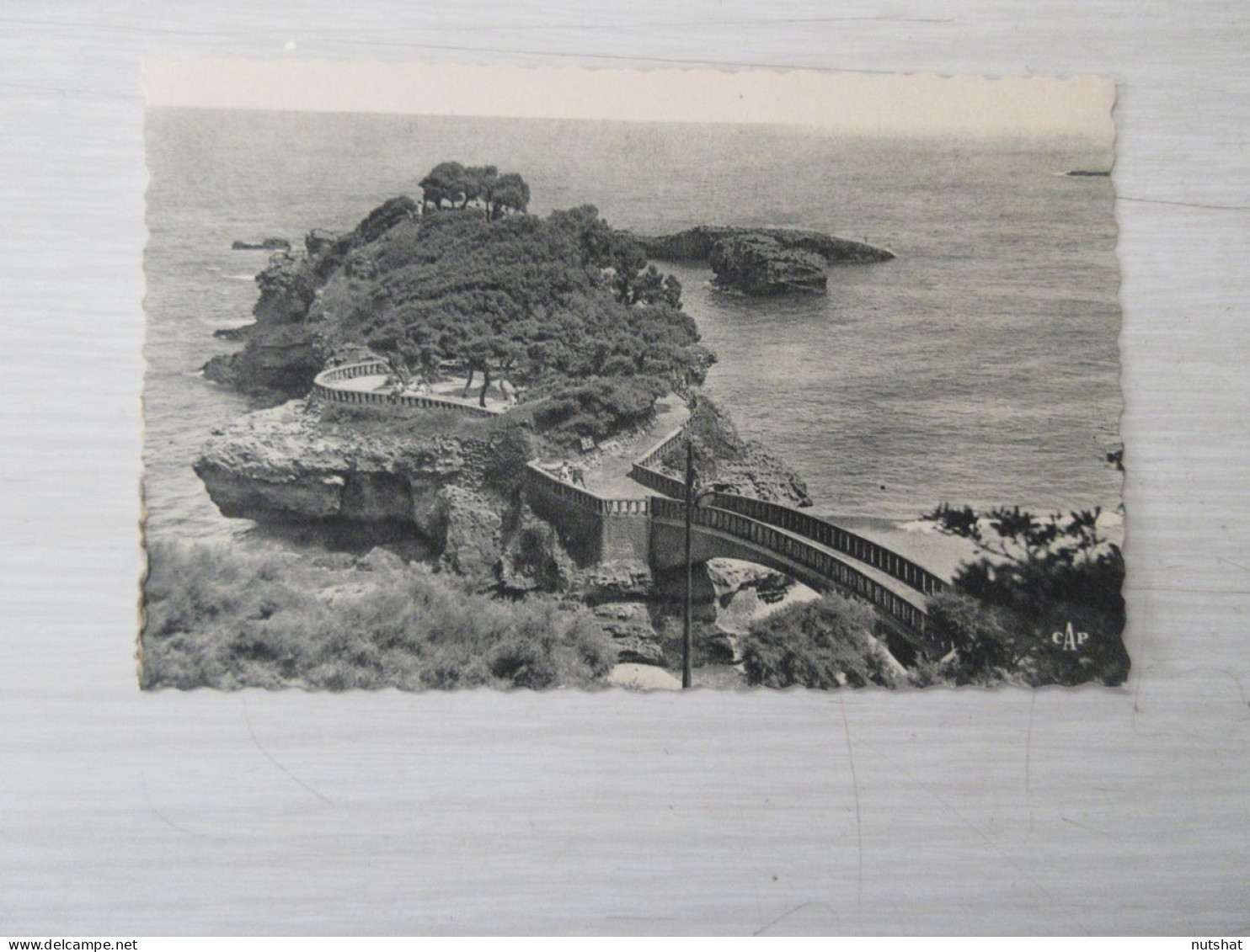 CP CARTE POSTALE PYRENEES ATLANTIQUES BIARRITZ Le BASTA - Vierge                 - Biarritz