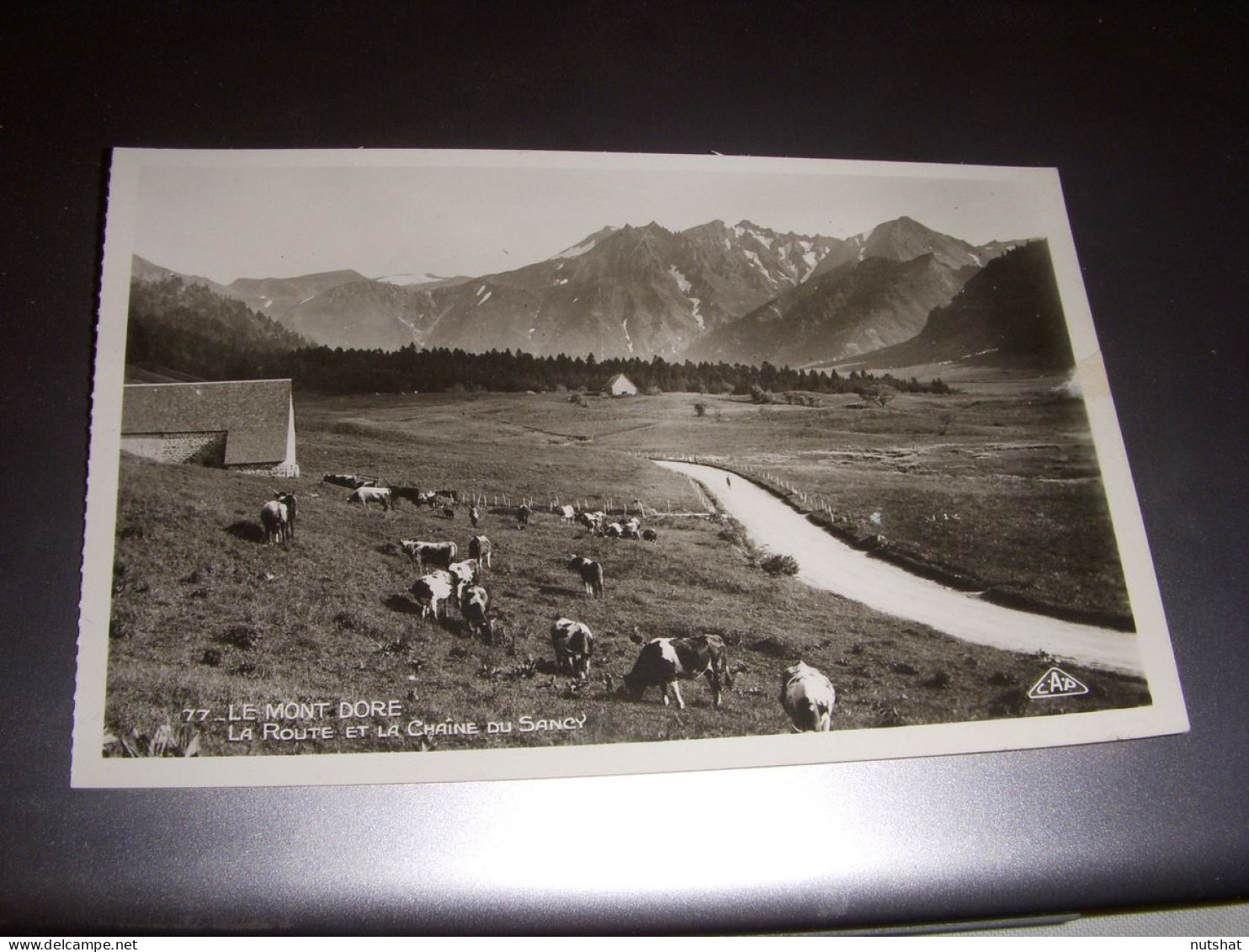 CP CARTE POSTALE PUY De DOME Le MONT DORE ROUTE Et CHAINE Du SANCY - VIERGE - Le Mont Dore